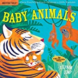 Indestructibles: Baby Animals: Chew Proof  Rip Proof  Nontoxic  100% Washable (Book for Babies, Newborn Books, Safe to Chew)