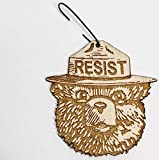 Smokey the Bear RESIST Christmas Ornament | Alt US National Park Service Rear View Mirror Hanging | Resist Fascism Activism Decoration