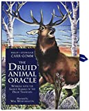 Druid Animal Oracle - Trade Paperback