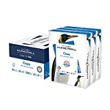 Hammermill Printer Paper, 20 Lb Copy Paper, 8.5 x 11 - 3 Ream (1,500 Sheets) - 92 Bright, Made in the USA, 500 Count (pack of 3)