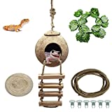 Tfwadmx Crested Gecko Coco Hut Natural Lizard Coconut Shell Hideout Home Mini Condo Reptiles Durable Ladder Cave Habitat Hanging Loop Climbing Porch Hiding Nest House(4 Pcs)