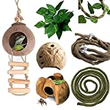 kathson Lizard Coco Den with Ladder, Reptile Hideouts Gecko Coconut Husk Hut with Artificial Bendable Jungle Climbing Vines for Chameleon, Lizards, Gecko, Snakes to Hide Perch and Play