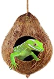 SunGrow Crested Gecko Coco Hut, Treat and Food Dispenser, Climbing Porch, Hiding, 4.5” Round Coconut Shell with 2.5” Opening, Ideal for Reptiles, Amphibians