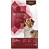 Holistic Select Natural Grain Free Dry Dog Food, Adult & Puppy Salmon, Anchovy & Sardine Recipe, 24-Pound Bag, Adult & Puppy Health Recipe, 24 lb (31102)