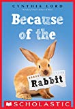 Because of the Rabbit (Scholastic Gold)