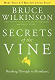 Secrets of the Vine: Breaking Through to Abundance (Breakthrough Series)