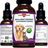 Glucosamine for Dogs, Hip and Joint Support for Dogs, MSM, Chondroitin, Pain Relief from Arthritis, Joint Inflammation and Dysplasia, for Healthy Cartilage and Mobility (Liquid, 2 Fl Oz)