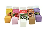 Kikkerland Scented Erasers, Milk Cartons (ER05)