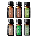 Winter Essential Oils Set - Gift Set of 6 Classic Holiday Essential Oils - Cinnamon, Clove, Peppermint, Pine, Nutmeg & Fir - Pure & Tested, by Pure Body Naturals