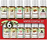 Winter Essential Oil Set of 6 Fragrance Oils - Christmas Wreath Pine, Vanilla, Peppermint, Cinnamon, Sugar Cookie, and Gingerbread by Good Essential Oils