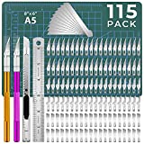 DIYSELF 115 Pcs Craft Knife Set, with 100 Pcs Hobby Knife Blades and 10 Pcs Utility Knife Blades, Precision Knife for Crafting