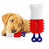 Durable Dog Chew Toys-Interactive Dog Toy, Upgraded Toothbrush Chew Toys, Nylon-Rubber Material Puppy Teething Chew Toys, Tough Dog Toys for Large Medium Small Breed