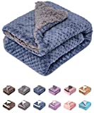 Fuzzy Dog Blanket or Cat Blanket or Pet Blanket, Warm and Soft, Plush Fleece Receiving Blankets for Dog Bed and Cat Bed , Couch, Sofa, Travel and Outdoor, Camping (Blanket (24" x 32"), DG-Smoked Blue)