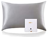 ZIMASILK 100% Mulberry Silk Pillowcase for Hair and Skin Health,Soft and Smooth,Both Sides Premium Grade 6A Silk,600 Thread Count,with Hidden Zipper,1pc(Standard 20''x26'', Gray)