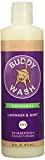 Cloud Star Buddy Wash Lavender & Mint 2-in-1 Dog Shampoo + Conditioner 16 Oz