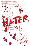 Hater: A Novel (Hater series, 1)