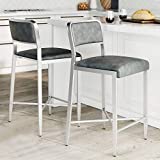 Nathan James Kira Kitchen Counter Bar Stool with PU Leather Cushion and Metal Frame, Set of 2, 24" with Backrest, Gray/Silver