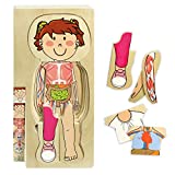 Kidzlane Girl Wooden My Body Puzzle for Toddlers & Kids - 29 Piece Girls Anatomy Puzzle Kid Play Set - Anatomy for Kids, Skeleton Toys for Kids Ages 3 Plus