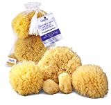 Real Natural Sea Sponges Multipack - 5pc Spa Gift Set in Premium Bag, Kind on Skin, for Bath Shower Facial Cleansing, Pamper Moms Brides Girlfriends & Teens by Constantia Beauty