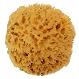 Natural Sea Wool Sponge 4-5" by Spa Destinations  Amazing Natural Renewable Resource"Creating The in Perfect Bath and Shower Experience"