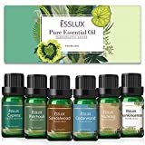 Essential Oils Set, ESSLUX Men Scents Collection with Sandalwood, Patchouli, Cedarwood, Cypress, Frankincense, Nutmeg Essential Oils for Diffuser, Massage, Home Fragrance, Soap & Candles Making