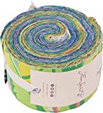 Kaffe Fassett Collective 2021 Design Roll 40 pc. Cool