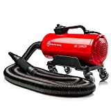 Adam's Air Cannon Car Dryer Blower - Powerful Car Detailing Car Wash Dryer | Filtered Car Air Dryers, Blowers & Blades | Safer Than Microfiber Towel Cloth