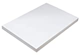 Pacon Medium Weight Tagboard, 12 x 18 Inches, White, 100 Sheets (5284)
