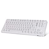 RK ROYAL KLUDGE Mechanical Keyboard 87 Keys White LED Backlight Tenkeyless Wired/Wireless Bluetooth Keyboard Gaming/Office for iOS Android Windows MacOS and Linux RK987 (Brown Switch-White)