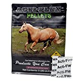 Acti Flex EZE-GO Packs. Pelleted Supplement Supports Healthy Joint Function in Horses of All Ages and Performance Levels. Highly Palatable. Convenient, 1-Oz, EZE-GO Packs. 80-Day Supply. Made in USA.