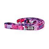 Wolfgang Man & Beast Premium Leash for Small Medium Large Dogs, Made in USA, Daydream Print, Large (1 Inch X 6 Feet)