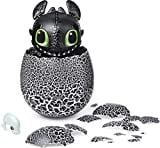 Dreamworks Dragons, Hatching Toothless Interactive Baby Dragon with Sounds, for Kids Aged 5 & Up