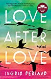 Love After Love: A Novel