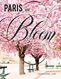 Paris in Bloom