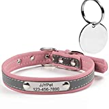 Personalized Dog/Cat Collars Engraved Pet Collar with Name Plated,Reflective,Size Available:Extra-Small Small Medium Large Extra-Large
