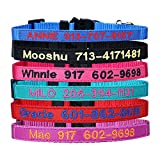 Personalized Nylon Cat Collar Break Away with Bell - Custom Embroidered Text ID Collars with Pet Name and Phone Number (Solid)