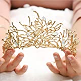 Brishow Bride Wedding Crowns Gold rhinestone Tiaras Crystal Opal Crown Fashion Queen Hair Accessories for Women and Girls