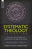 Systematic Theology (Volume 2): The Beauty of Christ – a Trinitarian Vision