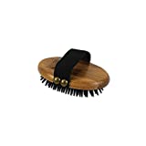 Alcott Bamboo Groom Curry Brush with Rubber Bristles for Pets