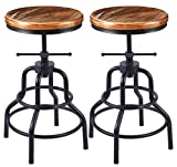 Vintage Industrial Bar Stool-Rustic Swivel Bar Stool-Round Wood Metal Stool-Kitchen Counter Height Adjustable Pipe Stool-Cast Steel Stool 20-27 Inch (Set of 2)