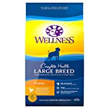 Wellness Natural Pet Food Complete Health Natural Dry Large Breed Puppy Food, Chicken, Salmon & Rice, 30-Pound Bag