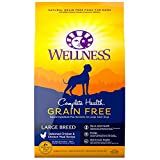 Wellness Complete Health Natural Grain Free Dry Large Breed Dog Food, Chicken, 24-Pound Bag