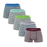 Men's Luxury Bamboo Boxer Underwear Ultra Soft and Breathable Stripes Boxer Briefs 5 Pack (M)