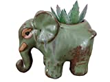 Everyday Better Life Cute Cartoon Animal Elephant Ceramic Succulent Cactus Flower Pot/Plant Pots/Planter/Container for Home Garden Office Desktop Decoration (Green)