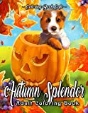 Autumn Splendor Coloring Book: An Adult Coloring Book Featuring Fun and Relaxing Autumn Scenes with Pumpkins, Flowers, Cute Animals and Much More! (Autumn Coloring Books)