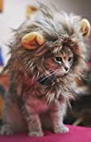 SNIK-S Cat Wigs Lion Mane Wig with Ears- Fancy Costume Hair Lion Hat for Halloween and Cosplay Party (S)