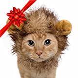 Pet Krewe Cat Lion Mane Halloween Costume – Fits Neck Size 8”-14 - Lion Costume for Small Cats and Kittens – Ideal for Halloween, Cat Birthday, Cat Cosplay, Cat Outfits, Pet Clothes