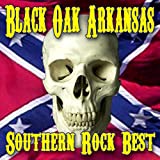 Southern Rock Best (Re-Recorded Versions)