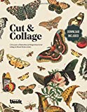 Cut and Collage: A Treasury of Butterflies and Winged Insects for Collage and Mixed Media Artists