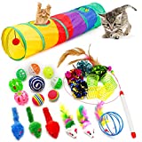 iCAGY Cat Toys for Indoor Cats Interactive, 25 Assorted Cat Stuff Toys Pack Including Crinkle Tunnel Ball Wand Teaser Feather Mouse Mice Spring Assortment kit for Cats Kittens Rabbits Puppies Rainbow